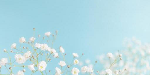 👤 mimir 🫧 pixel artist 🪽 pixquare + aseprite 🌐 current status: sick!